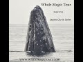 Whale Magic Tour Feb 27 2021