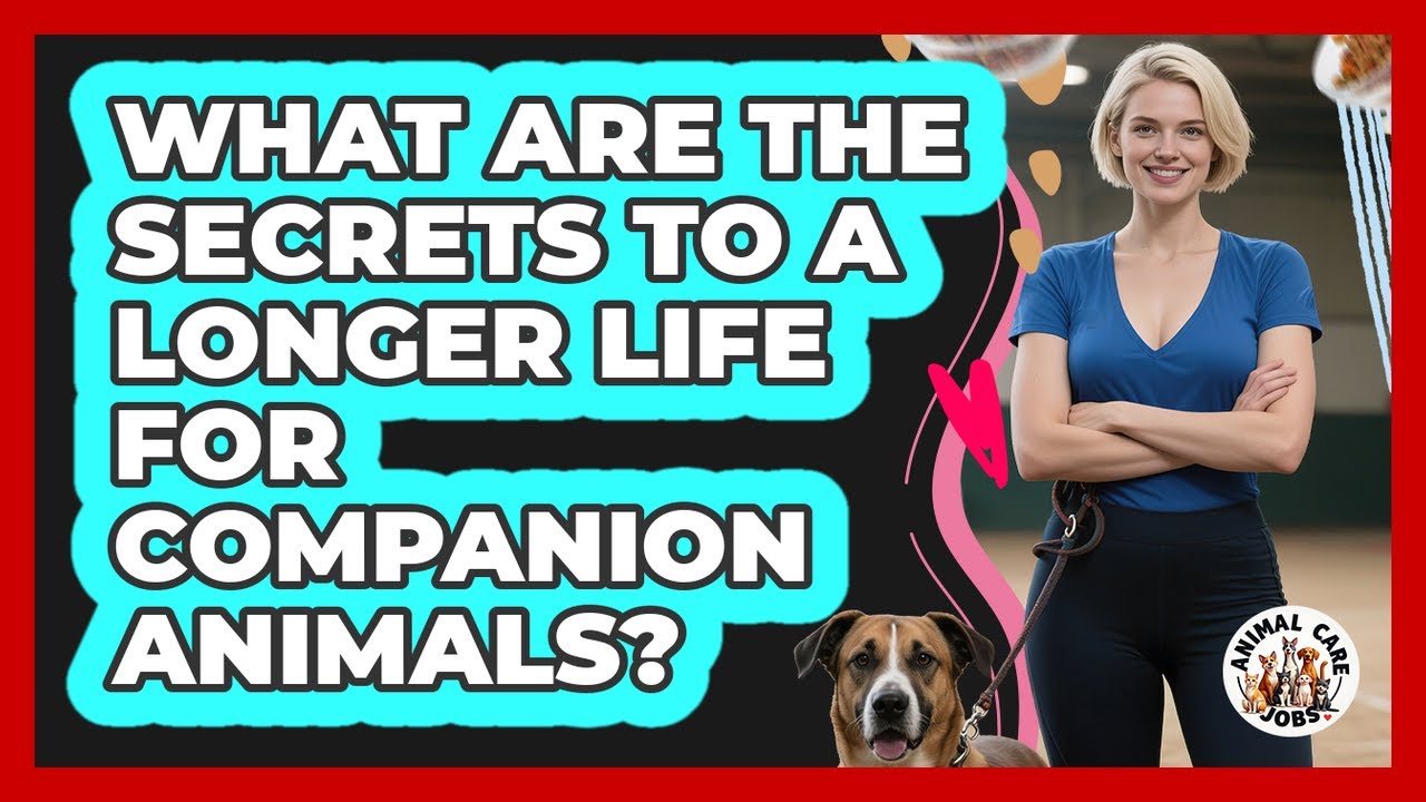 What Are The Secrets To A Longer Life For Companion Animals? - Animal Care Jobs