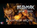 Ведьмак 3 "В волчьей шкуре"● Как расколдовать Моркварга ● Прохождение миссии и её последствия