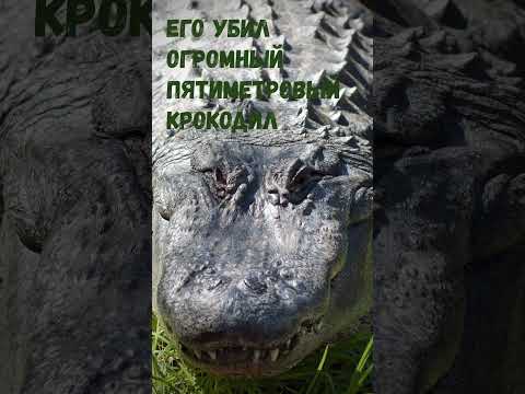 Крокодил убил человека