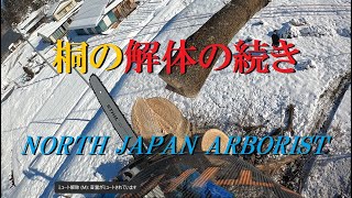 572.桐の木を解体する後編 - YouTube