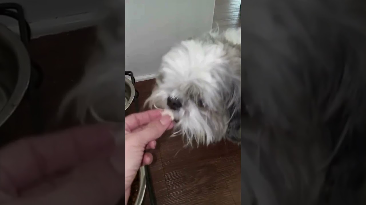 Sweet Face, Secret Agenda