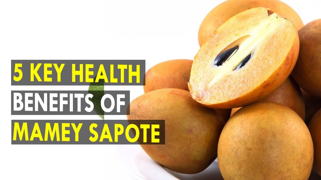 5 Key Health Benefits Of Mamey Sapote Health Sutra Best Health Tips