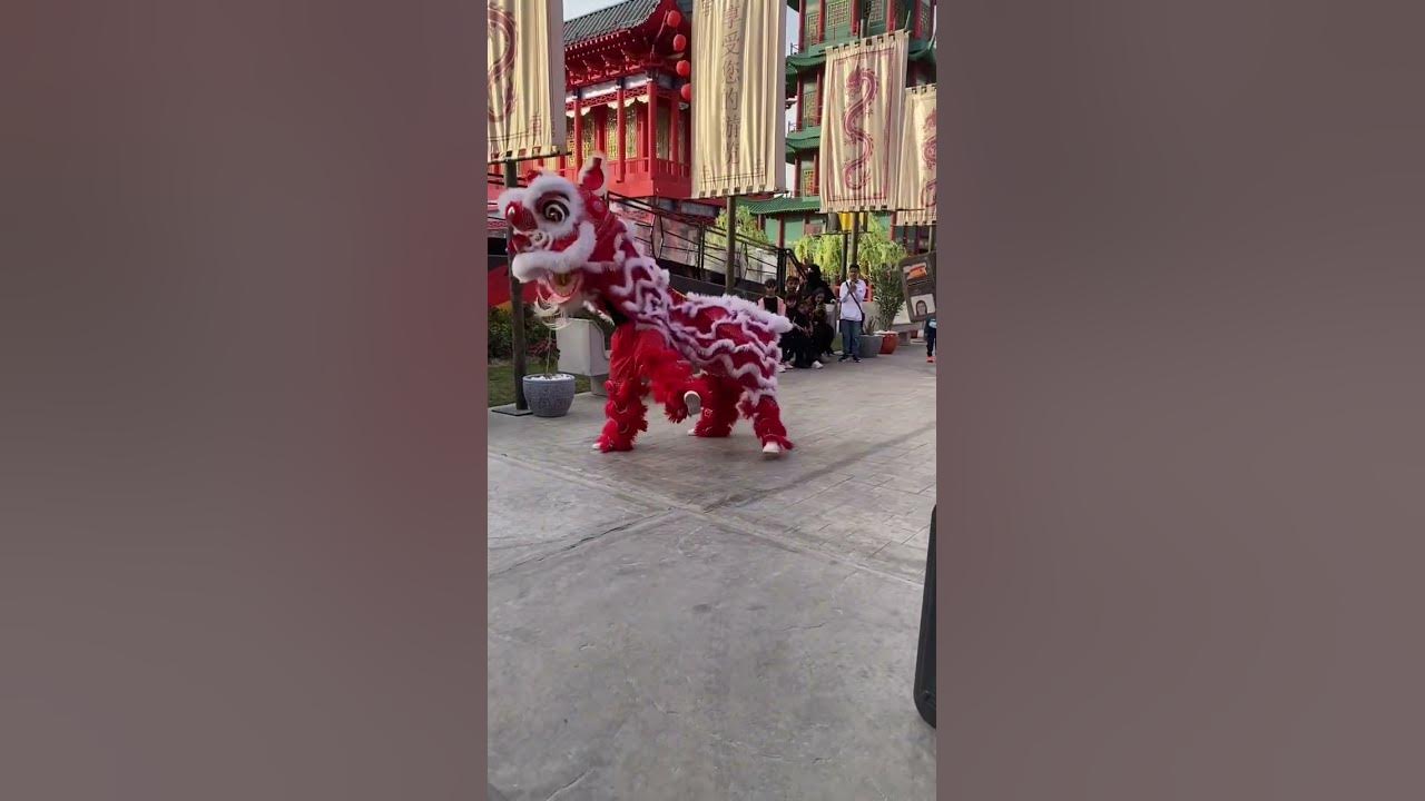 Chinese New Year Festival 2023 Dragon Dance