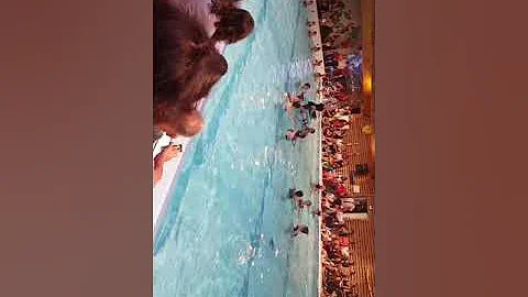 Gala piscine final