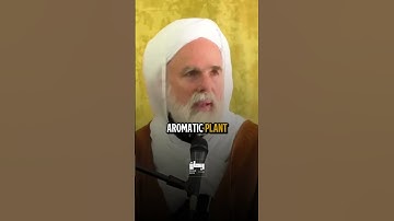 How Arabian Peninsula was before - Dr.Umar Faruq Abd Allah