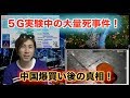 ５G実験中の大量死事件！中国爆買い後の技術転用！