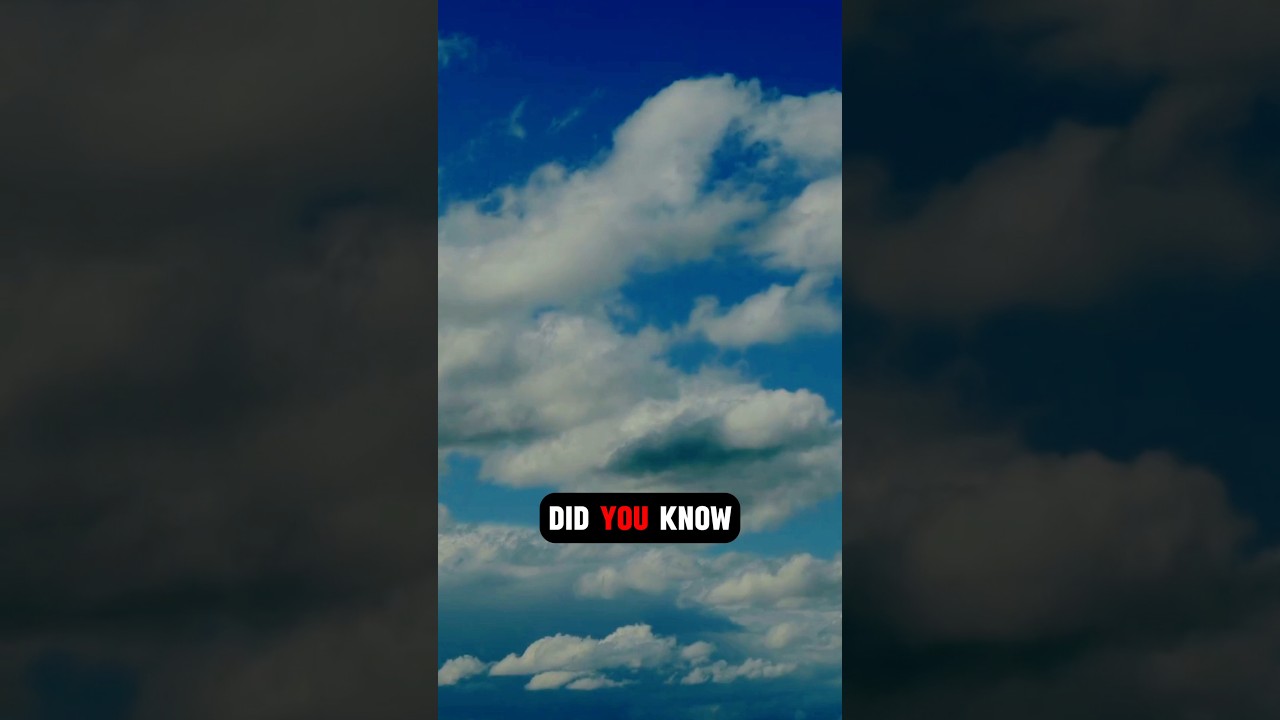 You Didn't Know this Interesting Facts 💡 