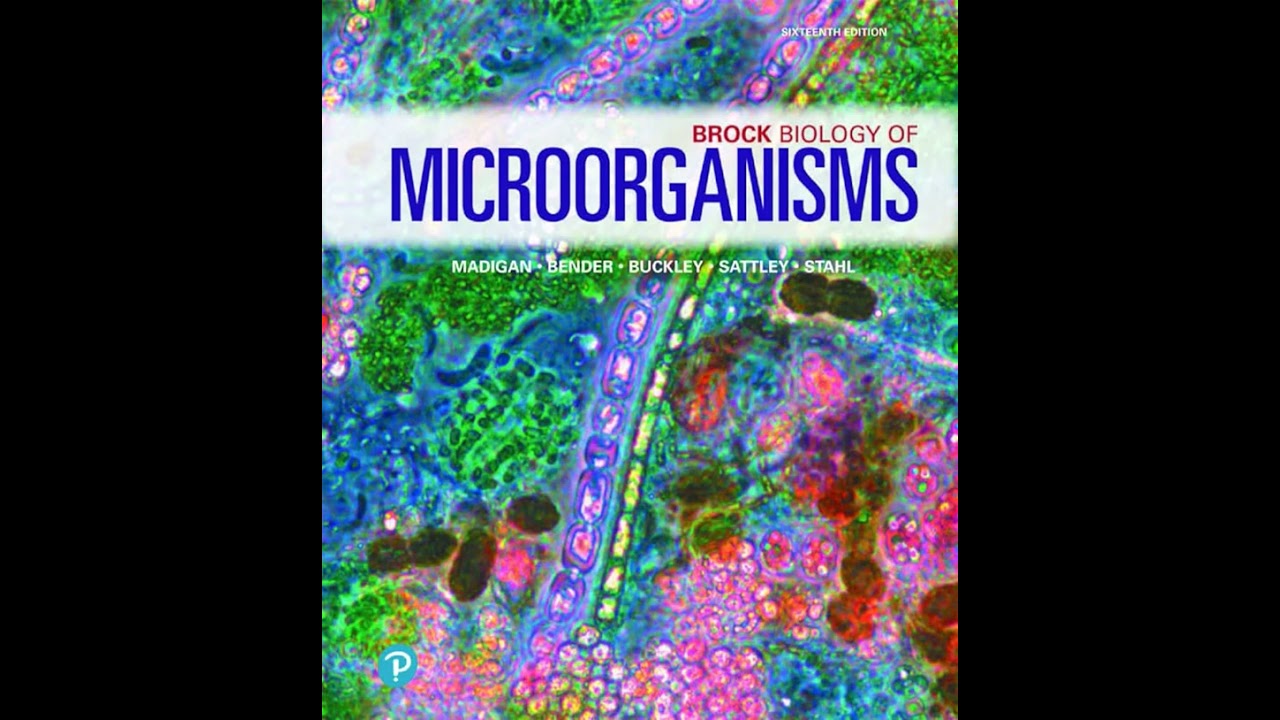 Эволюция микроорганизмов и динамика генома | Глава 13 – Брок, Биология микроорганизмов (16-я)