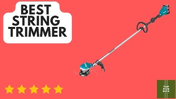 Top 5 Best String Trimmer 2025