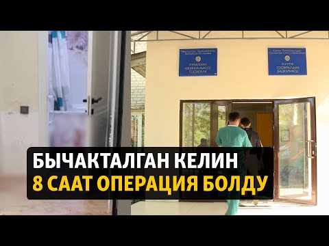 Video: Азербайжандын биринчи айымы Мехрибан Алиева: өмүр баяны жана сүрөттөрү