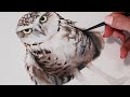 Watercolor Owl Step by Step Tutorial