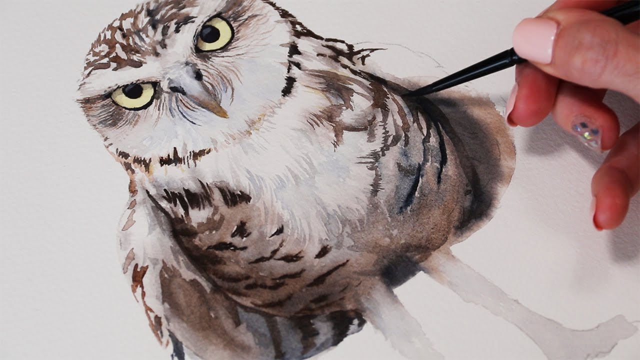 Watercolor Owl Step By Step Tutorial YouTube Watercolor Owl Step By Step Tutorial YouTube