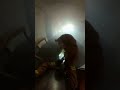 Firefighter saves dog from a house fire!🫨😲