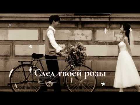 MONA SONGZ - След твоей розы | +текст