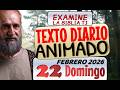 JW TEXTO DIARIO ANIMADO DE HOY 🔵LA LUZ QUE SIGUE BRILLANDO. ✅ EXAMINE LA BIBLIA TJ