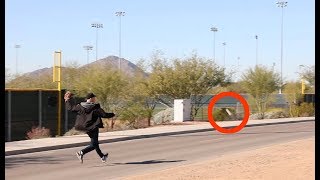 Running into a cactus during Spring Training BP at Salt River Fields