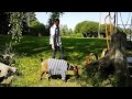Камерунская коза Моника на прогулке в Ботаническом саду