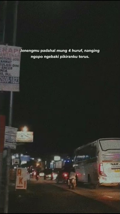 Story WA Bus Sinar Jaya #viral #trending #storywabus #sinarjaya #sinarjayamania