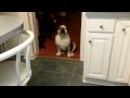 Beginning of video