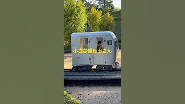 チャレンジトレイン 出発進行 小さな運転士さん 夢が叶った 