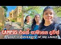 Campus     rajarata university of sri lanka   uni vlog  divya munasinghe