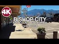 Walking Tour | Bishop City - Sierra Nevada, California