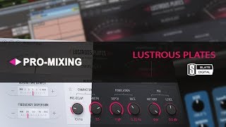 Обзор Slate Digital Lustrous Plates Reverb [Арам Киракосян]