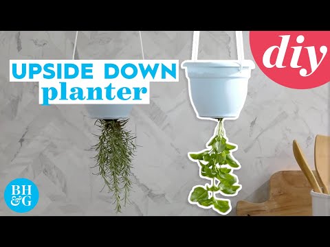 How to Make an Upside Down Planter WITHOUT Dirt Fallout | Made By Me | Better Homes & Gardens