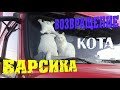 Дальнобой с котом Барсиком, в полном составе