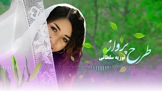 آهنگ زیبای هزارگی به صدای نوریه سلطانی/New Hazaragi Song By Nooria Sultani