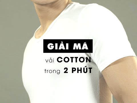 Giải mã bí mật vải Cotton trong vòng 2 phút | Foci