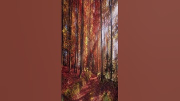 Thumbnail of Great Autumn Song.