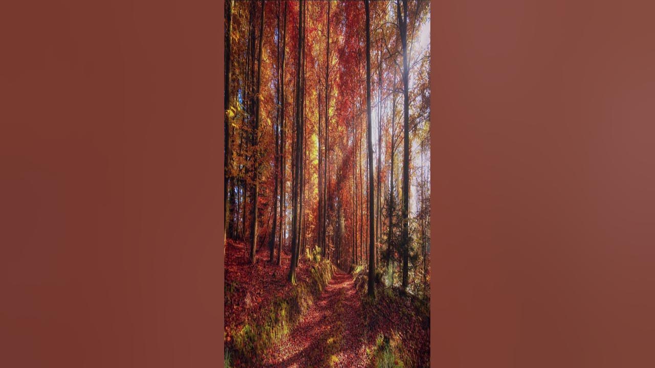 Great Autumn Song.