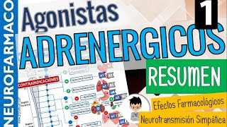 SIMPATICOMIMÉTICOS, RESUMEN, CLASIFICACIÓN, Sinapsis Adrenérgica, Receptores adrenérgicos |PARTE 1