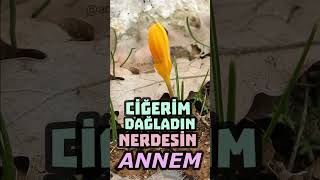 Nerdesin be ANNEM - Adem Bacel Resimi