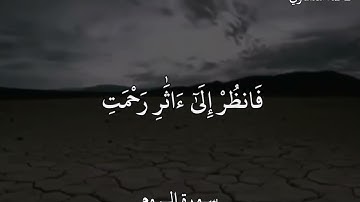 محمد صديق المنشاوي سورة الروم