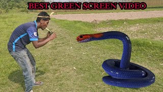 Anaconda Snake in Real Life | Edit with Mobile I real life super hero fight | ANANTA HD MEDIA