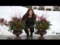 How to Make a Winter Planter How to Make a Winter Planter