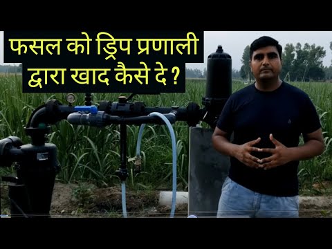 वीडियो: ओपीआई ड्रिप ड्राई ड्रॉप्स का उपयोग कैसे करें?