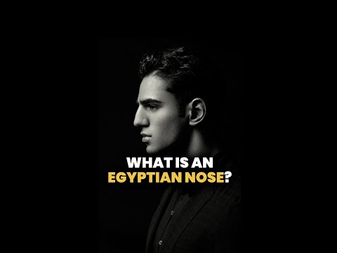 What is an Egyptian nose?👃🏾
