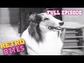 The Bonnet | Lassie | Full Episodes | Old Cartoons | Old Cartoons