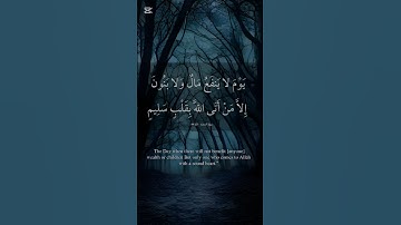قران كريم بصوت جميل😍 ﴿يَوْمَ لَا يَنفَعُ مَالٌ وَلَا بَنُونَ #قرآن #قران_كريم #اكسبلور #funny #fyp