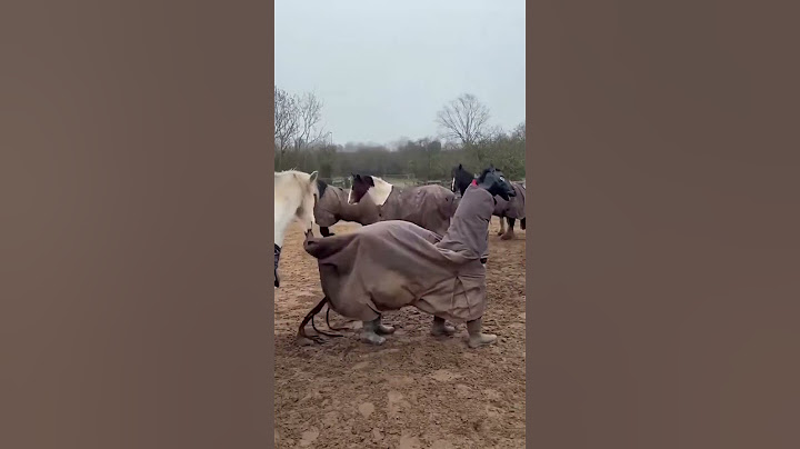 Fake horse trying to mingle with real horses