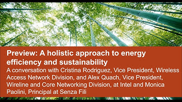 Preview: Senza Fili Energy Efficiency in the RAN and beyond: Intel