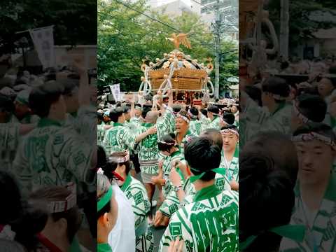 【鳥越祭2025】阿部川の本社神輿渡御 #shorts