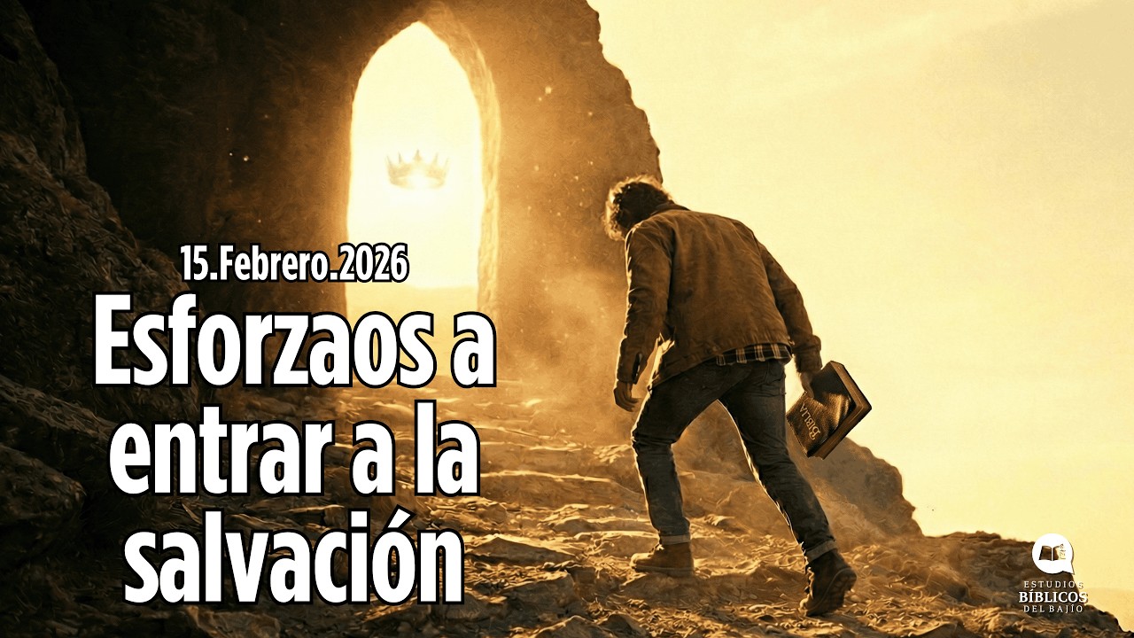 Esforzaos por la salvación - Domingo 15-Febrero-2026