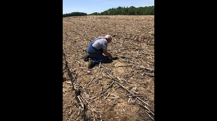 Corn Planting with Bruce