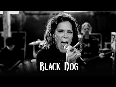 Black Dog (no audio)