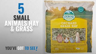 Top 10 Small Animals Hay & Grass [2018]: Petlife Oxbow Orchard Grass Hay for Small Pet, 1.13 kg